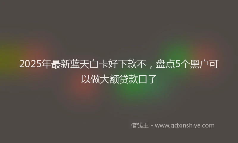 2025年最新蓝天白卡好下款不，盘点5个黑户可以做大额贷款口子