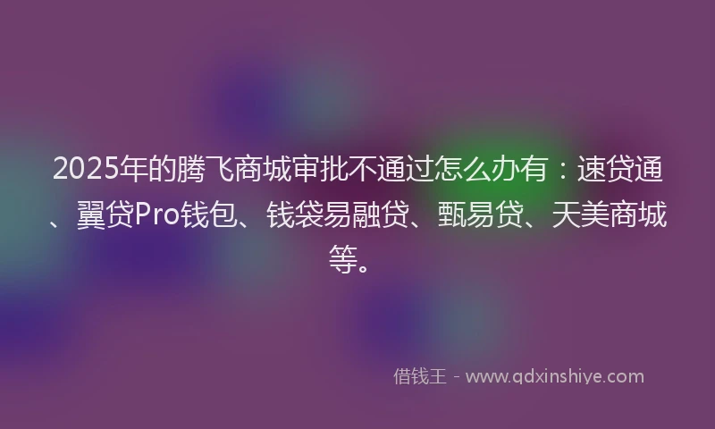 2025年的腾飞商城审批不通过怎么办有：速贷通、翼贷Pro钱包、钱袋易融贷、甄易贷、天美商城等。