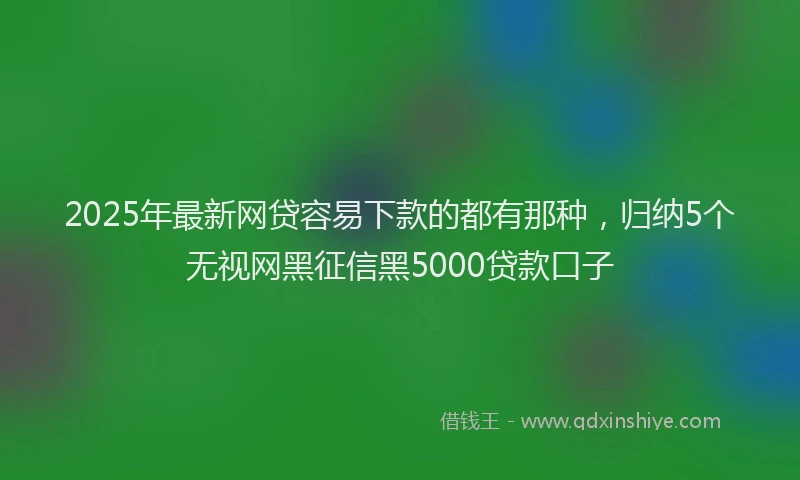 2025年最新网贷容易下款的都有那种，归纳5个无视网黑征信黑5000贷款口子