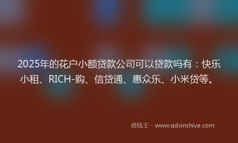 2025年的花户小额贷款公司可以贷款吗有：快乐小租、RICH-购、信贷通、惠众乐、小米贷等。