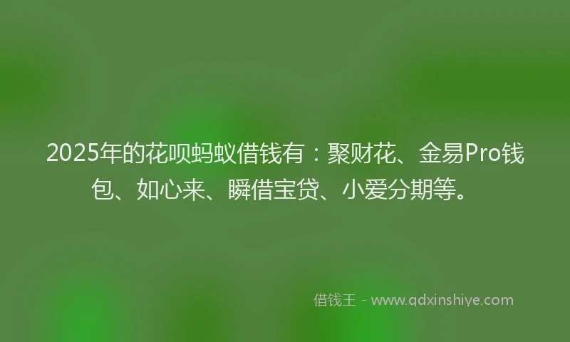 2025年的花呗蚂蚁借钱有：聚财花、金易Pro钱包、如心来、瞬借宝贷、小爱分期等。