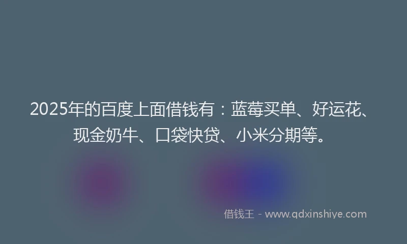 2025年的百度上面借钱有：蓝莓买单、好运花、现金奶牛、口袋快贷、小米分期等。