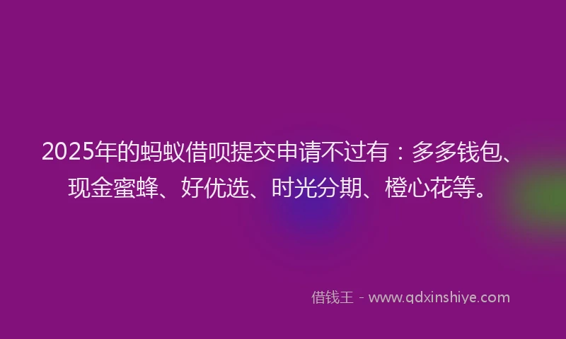 2025年的蚂蚁借呗提交申请不过有：多多钱包、现金蜜蜂、好优选、时光分期、橙心花等。