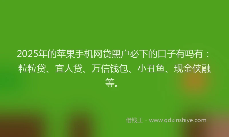 2025年的苹果手机网贷黑户必下的口子有吗有：粒粒贷、宜人贷、万信钱包、小丑鱼、现金侠融等。