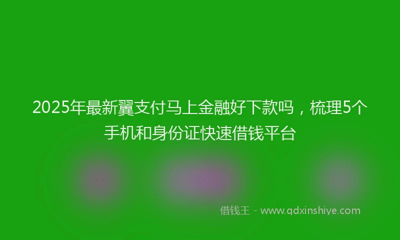 2025年最新翼支付马上金融好下款吗，梳理5个手机和身份证快速借钱平台
