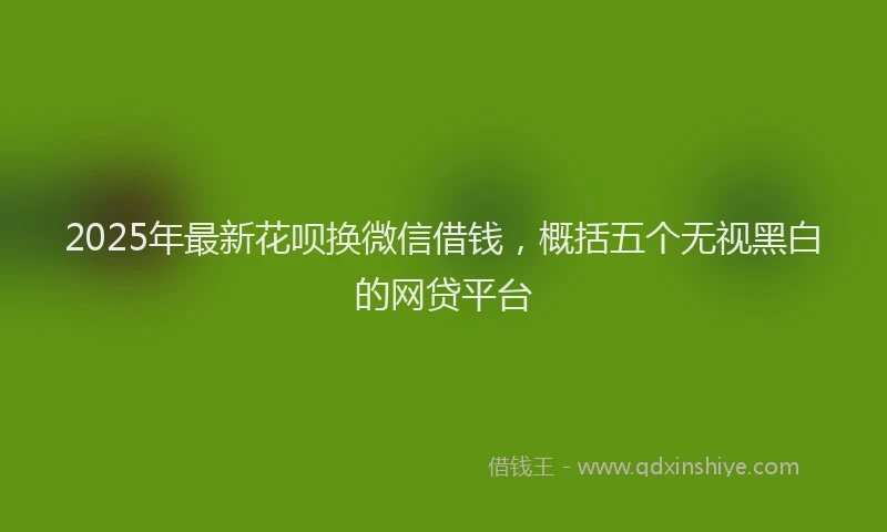 2025年最新花呗换微信借钱，概括五个无视黑白的网贷平台