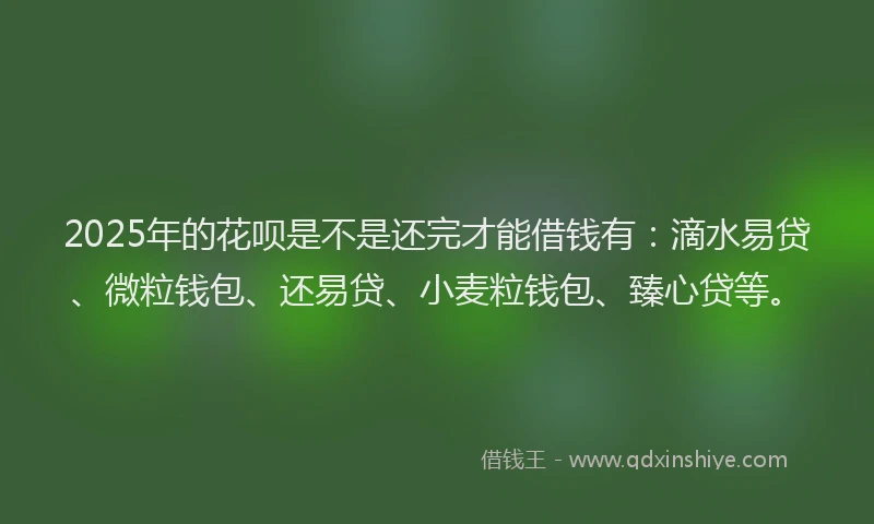 2025年的花呗是不是还完才能借钱有：滴水易贷、微粒钱包、还易贷、小麦粒钱包、臻心贷等。