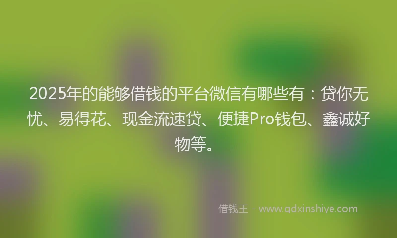 2025年的能够借钱的平台微信有哪些有：贷你无忧、易得花、现金流速贷、便捷Pro钱包、鑫诚好物等。