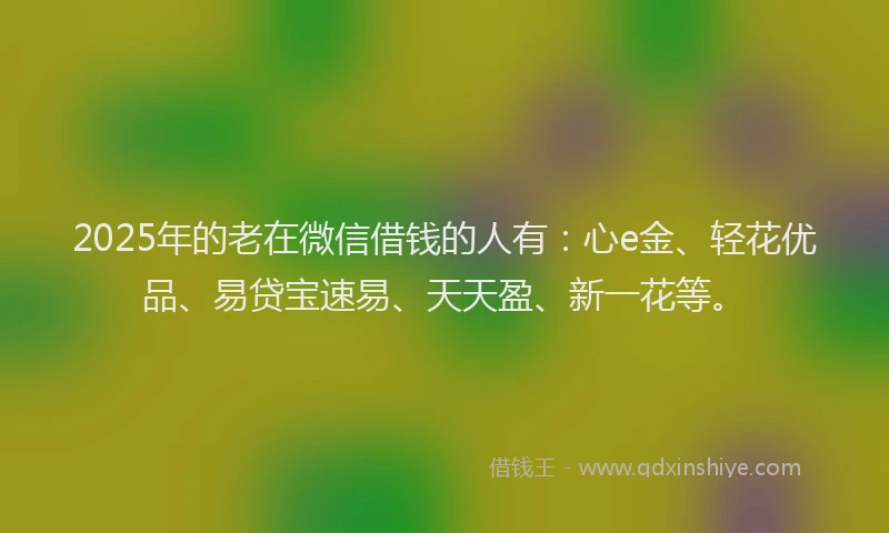 2025年的老在微信借钱的人有：心e金、轻花优品、易贷宝速易、天天盈、新一花等。
