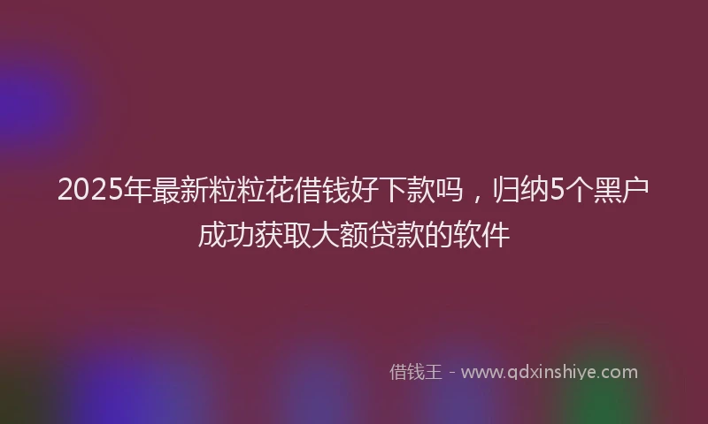 2025年最新粒粒花借钱好下款吗，归纳5个黑户成功获取大额贷款的软件