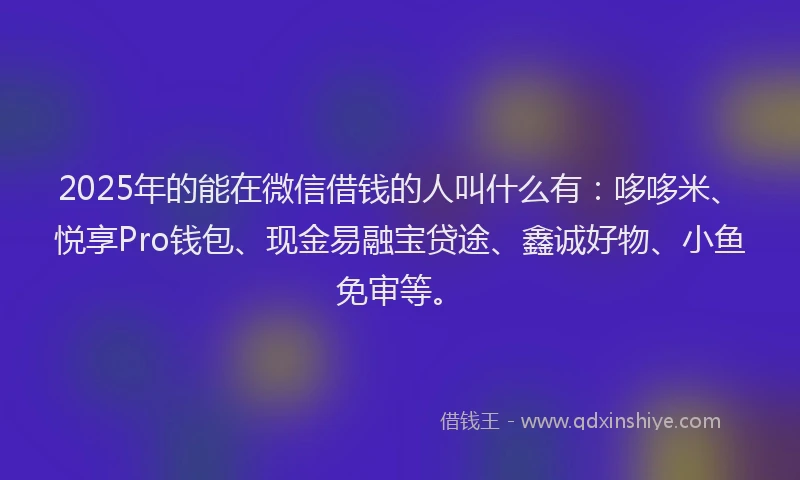 2025年的能在微信借钱的人叫什么有：哆哆米、悦享Pro钱包、现金易融宝贷途、鑫诚好物、小鱼免审等。