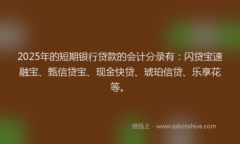 2025年的短期银行贷款的会计分录有：闪贷宝速融宝、甄信贷宝、现金快贷、琥珀信贷、乐享花等。