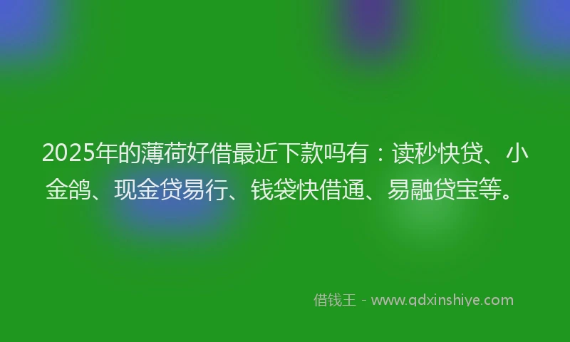 2025年的薄荷好借最近下款吗有：读秒快贷、小金鸽、现金贷易行、钱袋快借通、易融贷宝等。