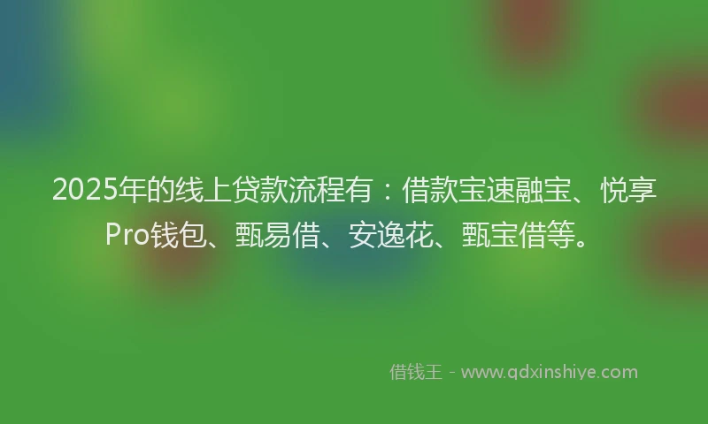 2025年的线上贷款流程有：借款宝速融宝、悦享Pro钱包、甄易借、安逸花、甄宝借等。
