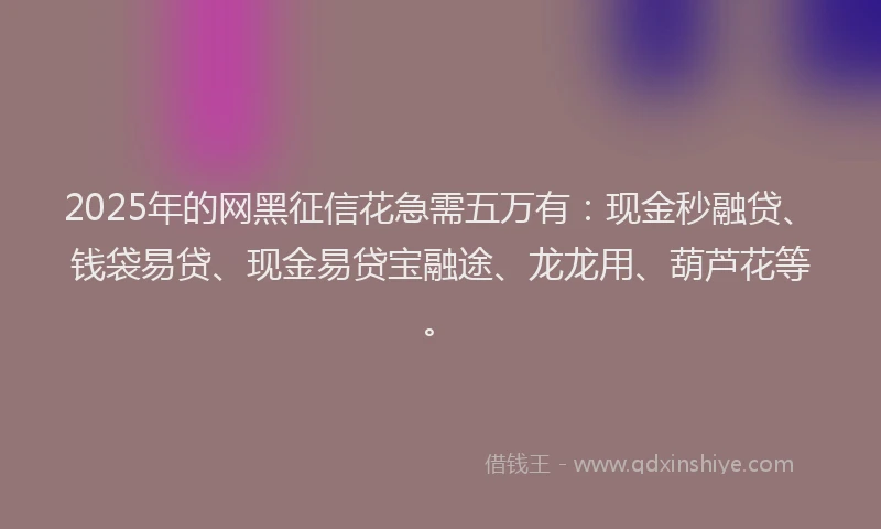 2025年的网黑征信花急需五万有：现金秒融贷、钱袋易贷、现金易贷宝融途、龙龙用、葫芦花等。