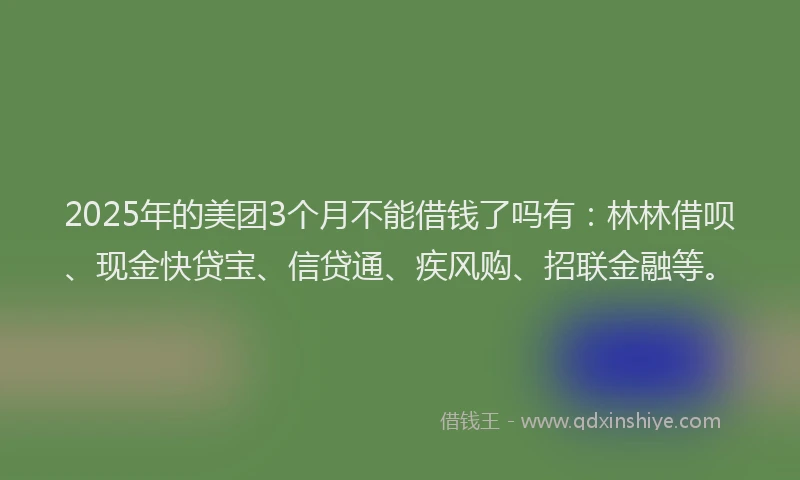 2025年的美团3个月不能借钱了吗有：林林借呗、现金快贷宝、信贷通、疾风购、招联金融等。
