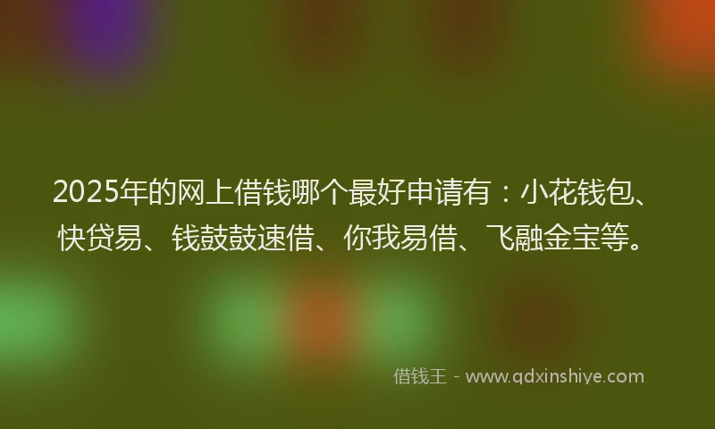 2025年的网上借钱哪个最好申请有：小花钱包、快贷易、钱鼓鼓速借、你我易借、飞融金宝等。