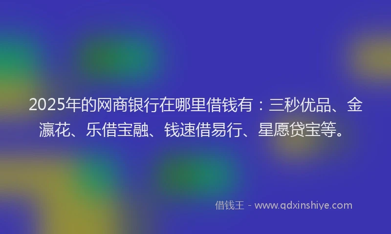 2025年的网商银行在哪里借钱有：三秒优品、金瀛花、乐借宝融、钱速借易行、星愿贷宝等。