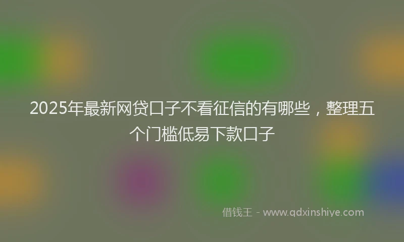2025年最新网贷口子不看征信的有哪些，整理五个门槛低易下款口子
