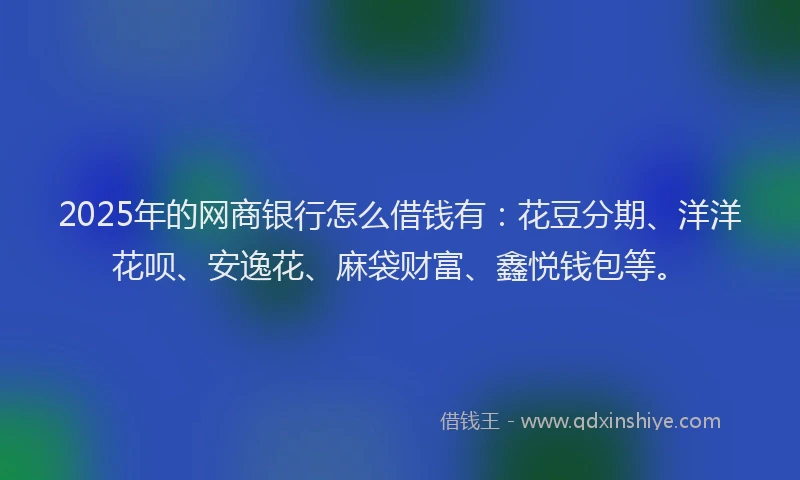 2025年的网商银行怎么借钱有：花豆分期、洋洋花呗、安逸花、麻袋财富、鑫悦钱包等。