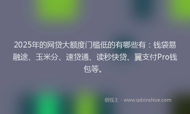 2025年的网贷大额度门槛低的有哪些有：钱袋易融途、玉米分、速贷通、读秒快贷、翼支付Pro钱包等。