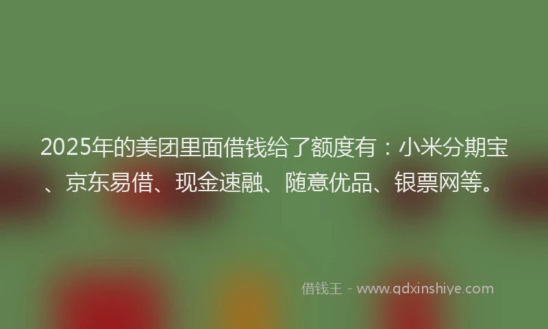 2025年的美团里面借钱给了额度有：小米分期宝、京东易借、现金速融、随意优品、银票网等。