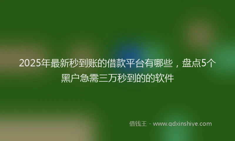 2025年最新秒到账的借款平台有哪些，盘点5个黑户急需三万秒到的的软件