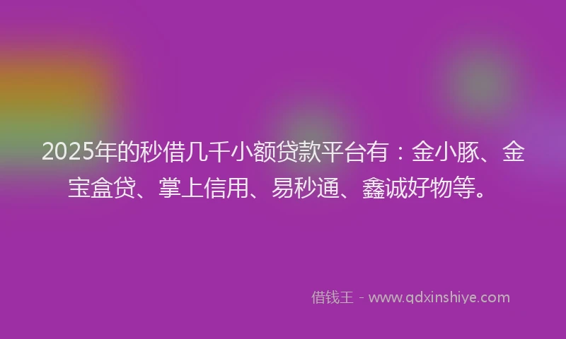 2025年的秒借几千小额贷款平台有：金小豚、金宝盒贷、掌上信用、易秒通、鑫诚好物等。