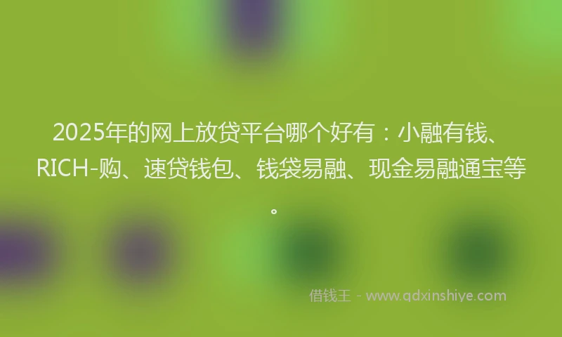 2025年的网上放贷平台哪个好有：小融有钱、RICH-购、速贷钱包、钱袋易融、现金易融通宝等。