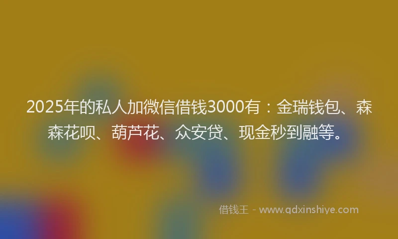 2025年的私人加微信借钱3000有：金瑞钱包、森森花呗、葫芦花、众安贷、现金秒到融等。