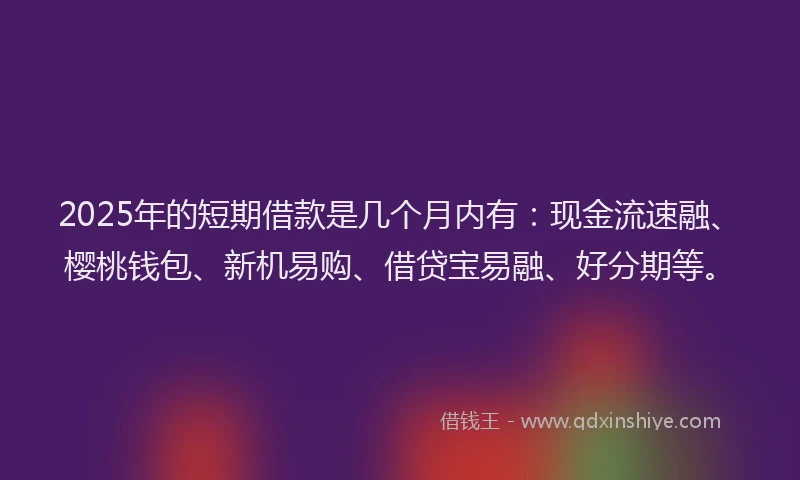 2025年的短期借款是几个月内有：现金流速融、樱桃钱包、新机易购、借贷宝易融、好分期等。