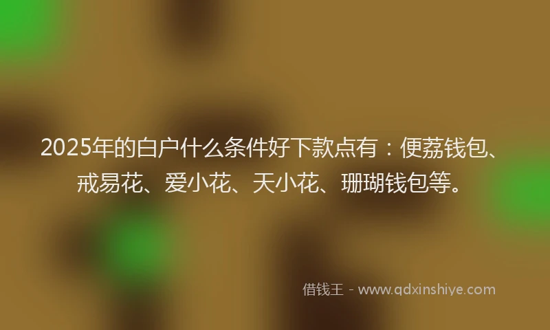 2025年的白户什么条件好下款点有：便荔钱包、戒易花、爱小花、天小花、珊瑚钱包等。
