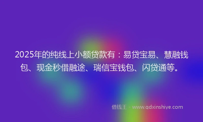 2025年的纯线上小额贷款有：易贷宝易、慧融钱包、现金秒借融途、瑞信宝钱包、闪贷通等。