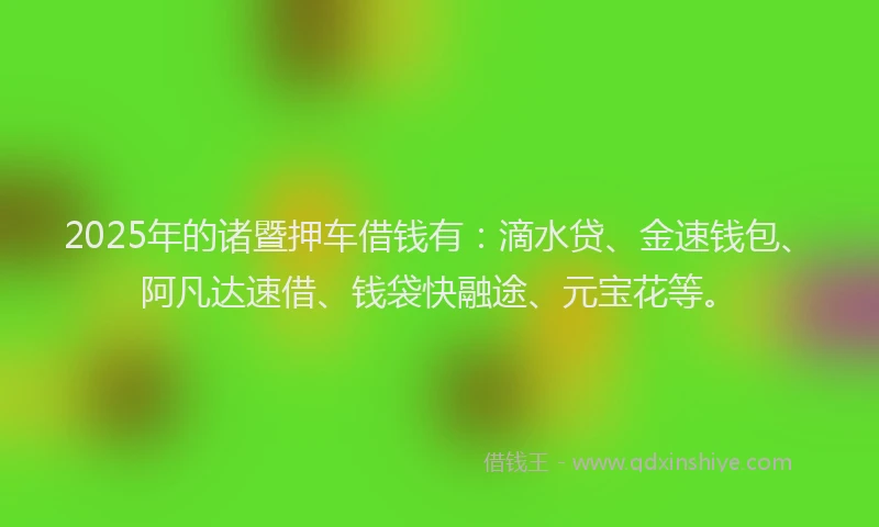 2025年的诸暨押车借钱有：滴水贷、金速钱包、阿凡达速借、钱袋快融途、元宝花等。