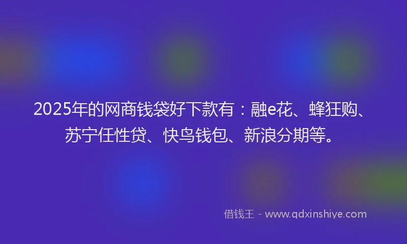 2025年的网商钱袋好下款有：融e花、蜂狂购、苏宁任性贷、快鸟钱包、新浪分期等。