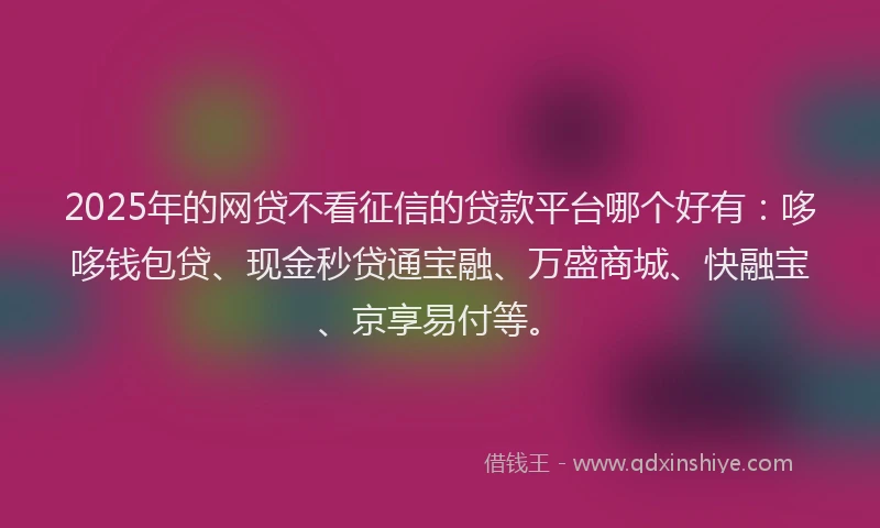 2025年的网贷不看征信的贷款平台哪个好有：哆哆钱包贷、现金秒贷通宝融、万盛商城、快融宝、京享易付等。