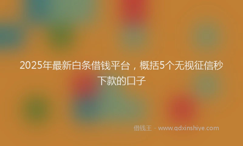 2025年最新白条借钱平台，概括5个无视征信秒下款的口子