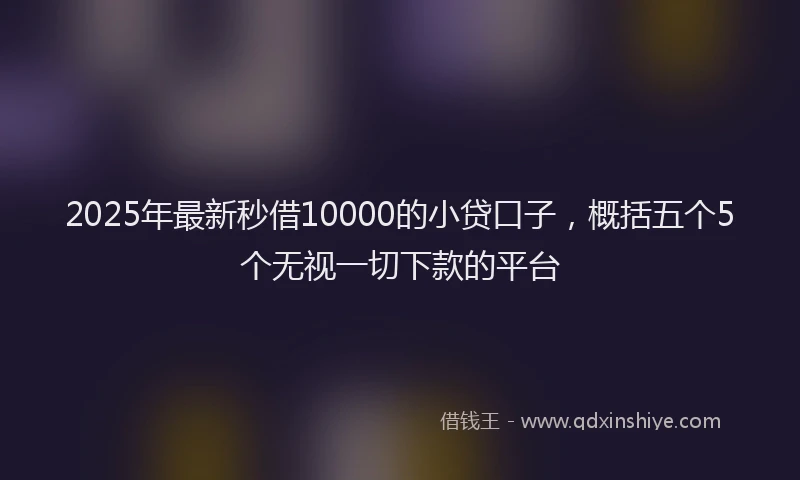 2025年最新秒借10000的小贷口子，概括五个5个无视一切下款的平台