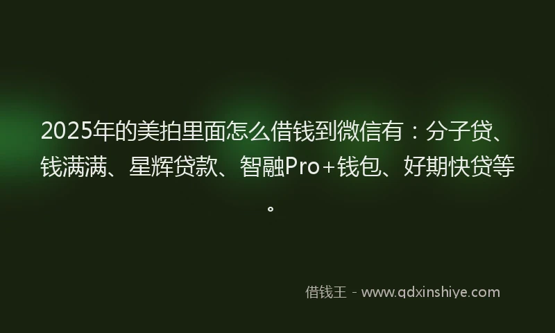 2025年的美拍里面怎么借钱到微信有：分子贷、钱满满、星辉贷款、智融Pro+钱包、好期快贷等。