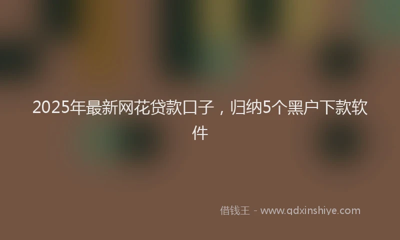 2025年最新网花贷款口子，归纳5个黑户下款软件