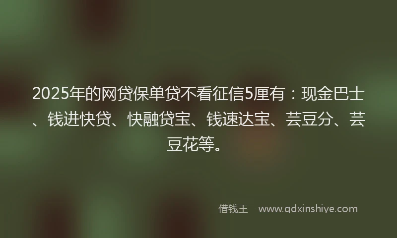 2025年的网贷保单贷不看征信5厘有：现金巴士、钱进快贷、快融贷宝、钱速达宝、芸豆分、芸豆花等。
