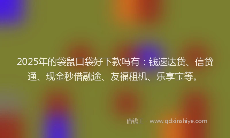 2025年的袋鼠口袋好下款吗有：钱速达贷、信贷通、现金秒借融途、友福租机、乐享宝等。