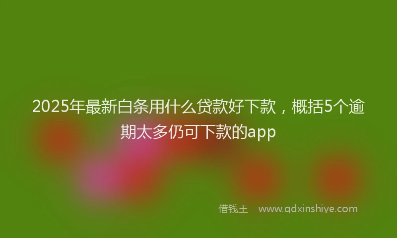 2025年最新白条用什么贷款好下款，概括5个逾期太多仍可下款的app