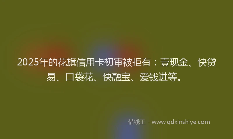 2025年的花旗信用卡初审被拒有：壹现金、快贷易、口袋花、快融宝、爱钱进等。