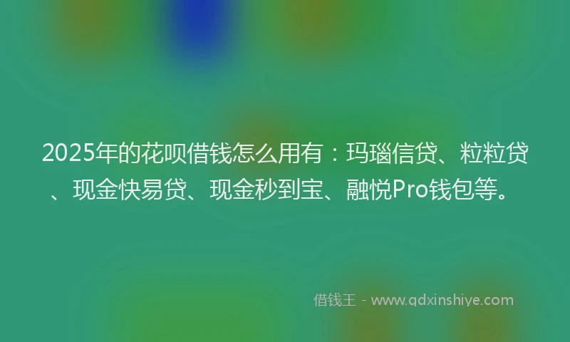 2025年的花呗借钱怎么用有：玛瑙信贷、粒粒贷、现金快易贷、现金秒到宝、融悦Pro钱包等。