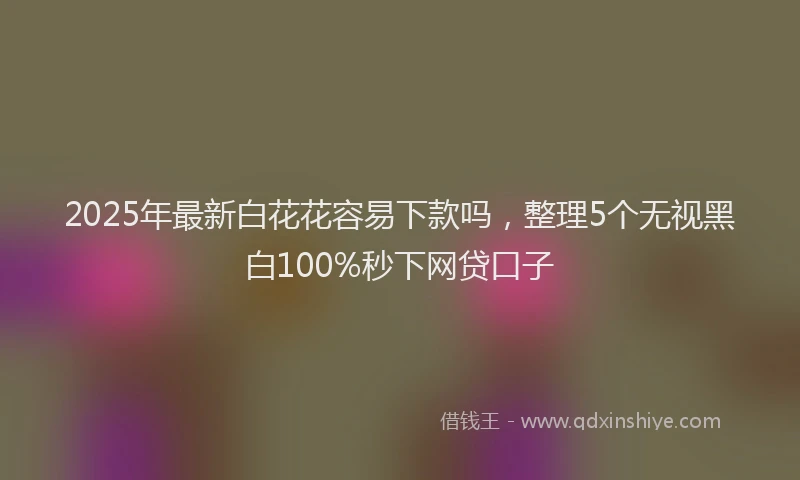 2025年最新白花花容易下款吗，整理5个无视黑白100%秒下网贷口子