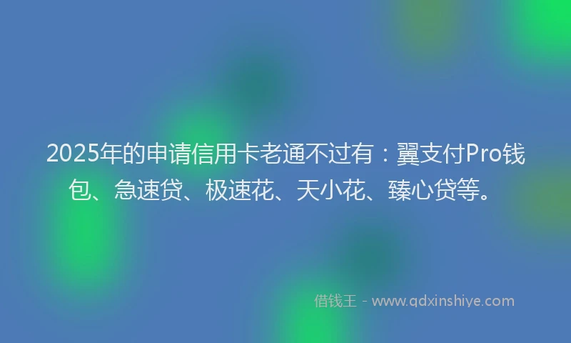 2025年的申请信用卡老通不过有：翼支付Pro钱包、急速贷、极速花、天小花、臻心贷等。