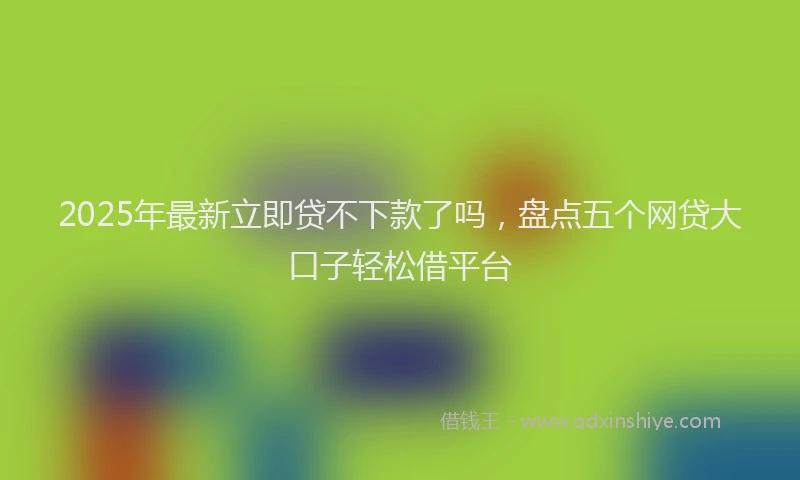 2025年最新立即贷不下款了吗，盘点五个网贷大口子轻松借平台