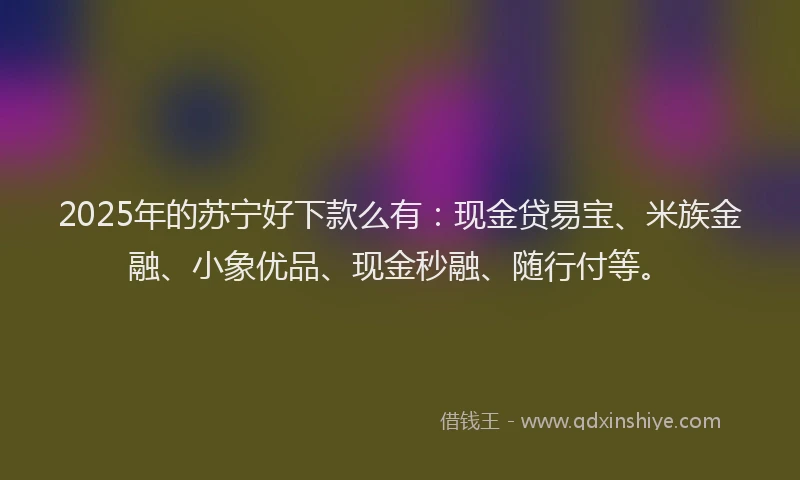 2025年的苏宁好下款么有：现金贷易宝、米族金融、小象优品、现金秒融、随行付等。