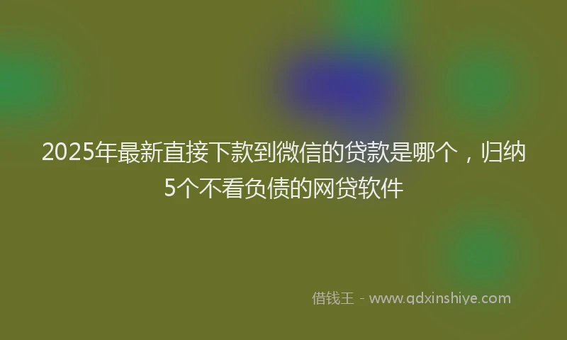 2025年最新直接下款到微信的贷款是哪个，归纳5个不看负债的网贷软件